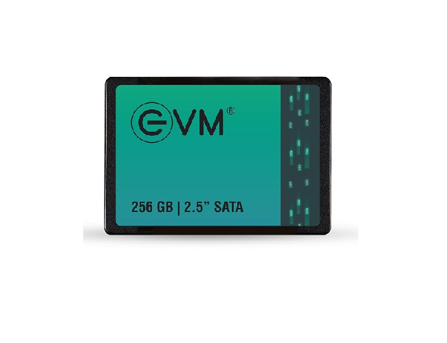 EVM 256Gb 2.5 3D Nand Sata SSD