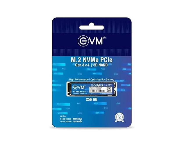 EVM 256Gb M.2 Nvme 3D Nand SSD